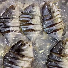 咸魚-咸魚批發(fā)、促銷價(jià)格、產(chǎn)地貨源 