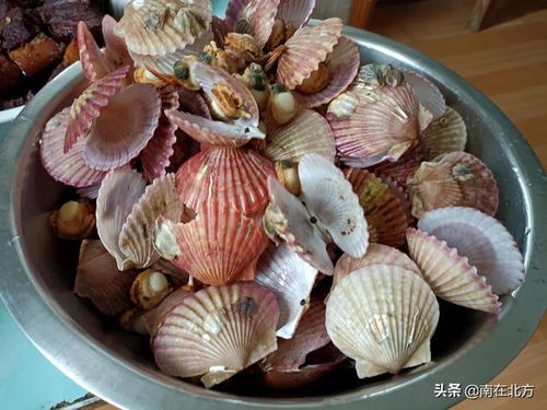 海鮮 大餐